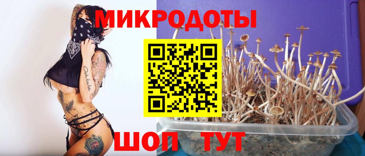 Чистополь  Галлюциногенные грибы ЛСД  Вход с VPN 