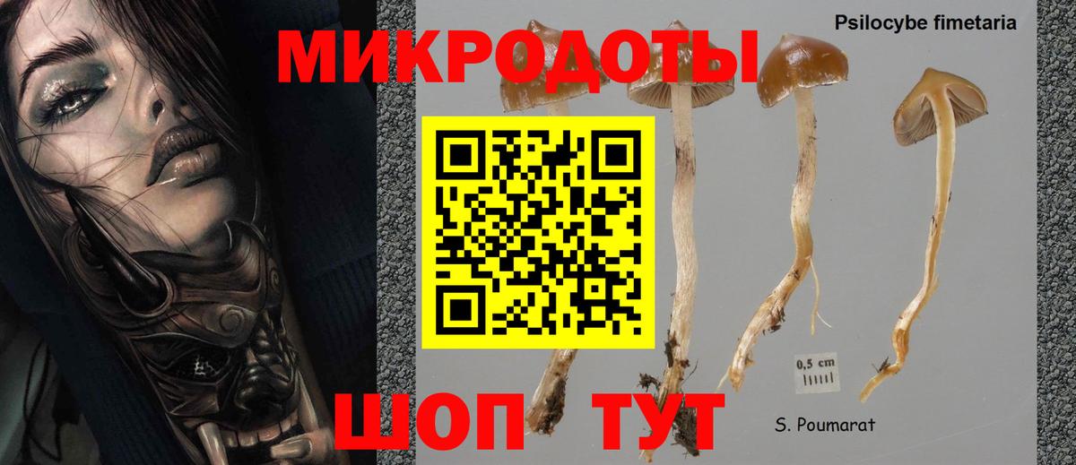 Галлюциногенные грибы мухоморы Чистополь